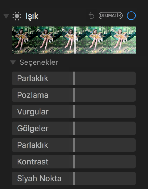 Ayarla bölümünün Parlaklık, Pozlama, Işıklı Alanlar, Gölgeler, Parlaklık, Kontrast ve Siyah Nokta sürgülerinin gösterildiği Işık alanı.