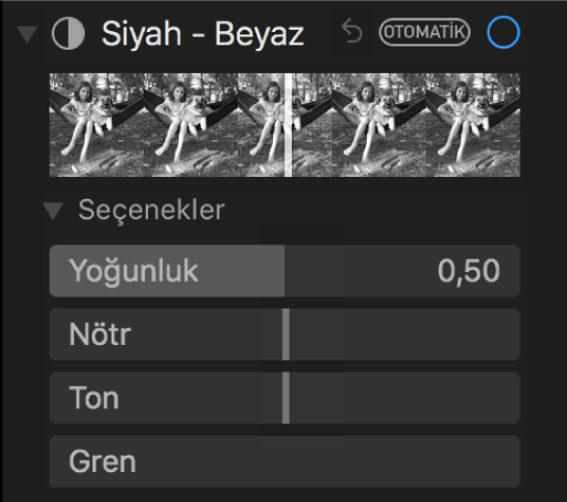 Ayarla bölümünün Yoğunluk, Nötr, Ton ve Gren sürgülerinin gösterildiği Siyah - Beyaz alanı.