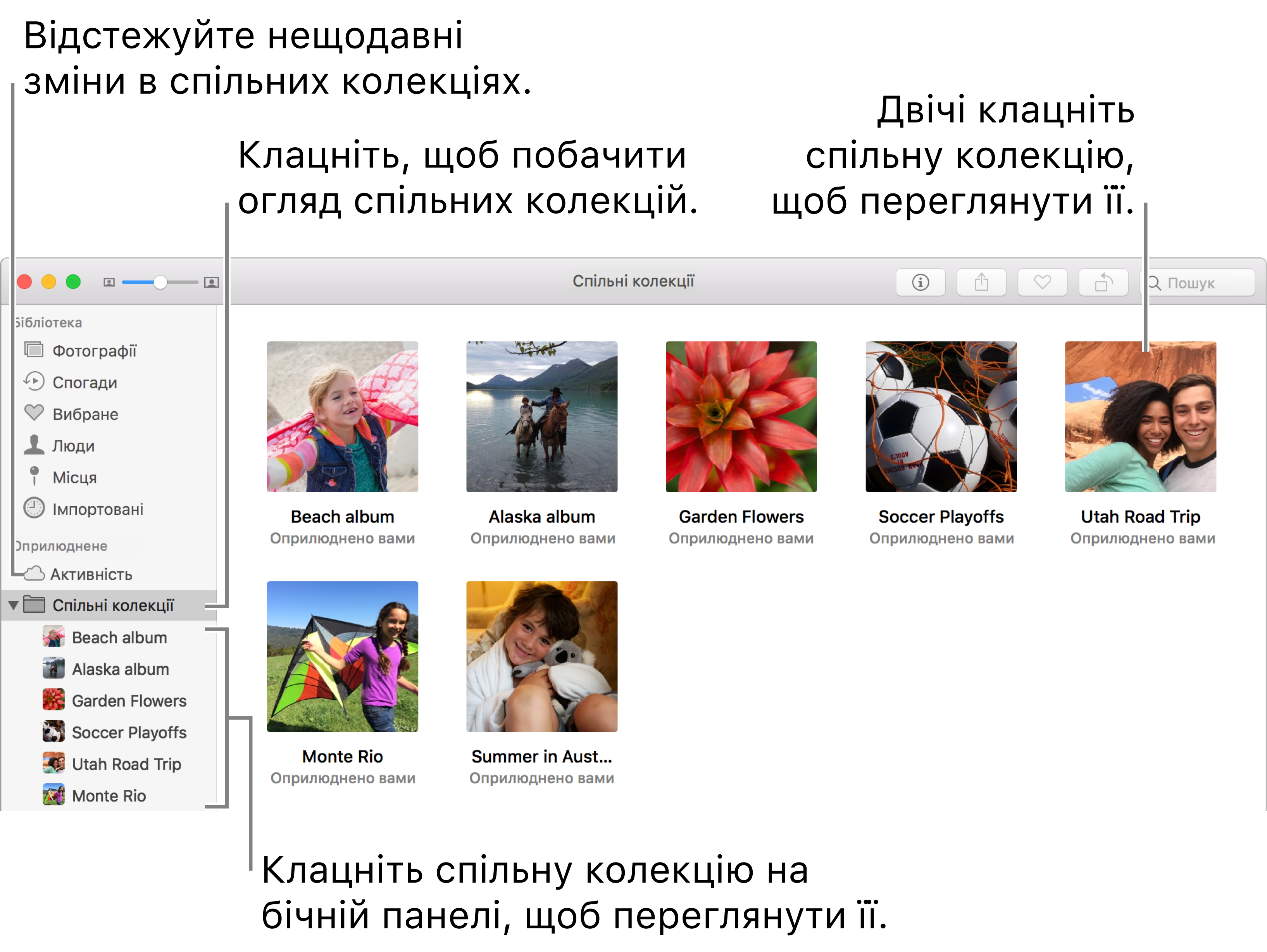 Панель «Спільні колекції» у вікні програми «Фотографії» зі спільними колекціями.