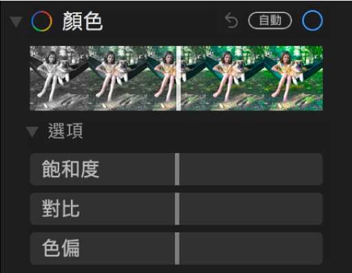 「調整」面板的「顏色」區域顯示「飽和度」、「對比」和「色偏」的滑桿。