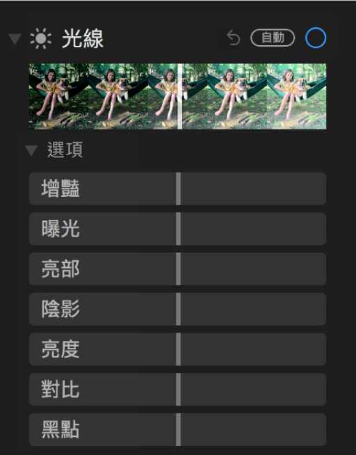 「調整」面板的「光線」區域顯示「增豔」、「曝光」、「亮部」、「陰影」、「亮度」、「對比」和「黑點」的滑桿。