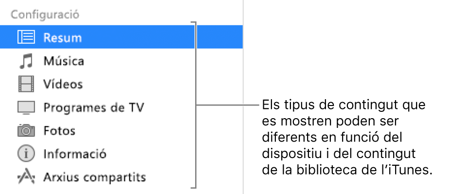 Opció Resum seleccionada a la barra lateral de l’esquerra. Els tipus de contingut que es mostren poden variar en funció del dispositiu i del contingut de la biblioteca de l’iTunes.