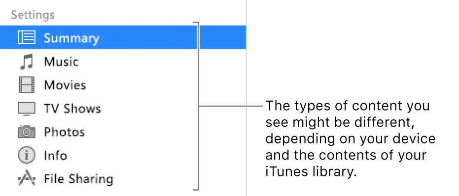 Summary is selected in the sidebar on the left. The types of content that appear might vary, depending on your device and the contents of your iTunes library.