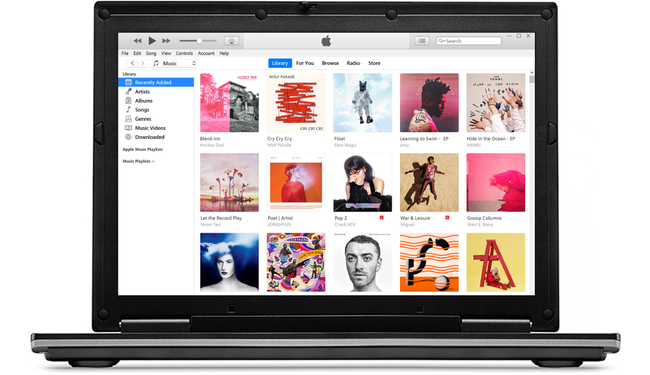 The iTunes window with a library of multiple albums.