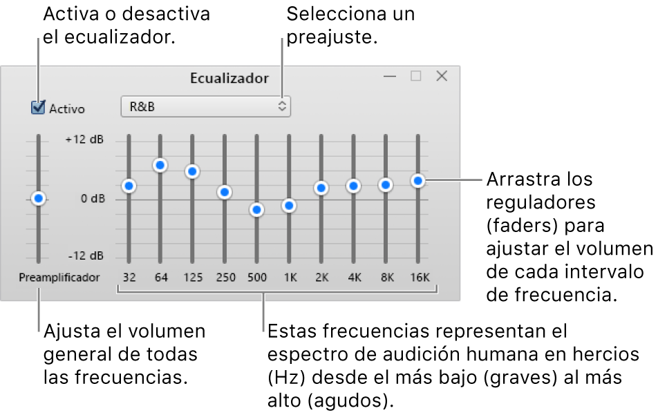 La ventana Ecualizador: la casilla para activar el ecualizador de iTunes está en la esquina superior izquierda. A su lado está el menú desplegable con los preajustes del ecualizador. En el extremo derecho, ajusta el volumen global de frecuencias con el preamplificador. Debajo de los preajustes del ecualizador, ajusta el nivel del sonido de diferentes intervalos de frecuencia que representan el espectro del oído humano, desde el más bajo hasta el más alto.