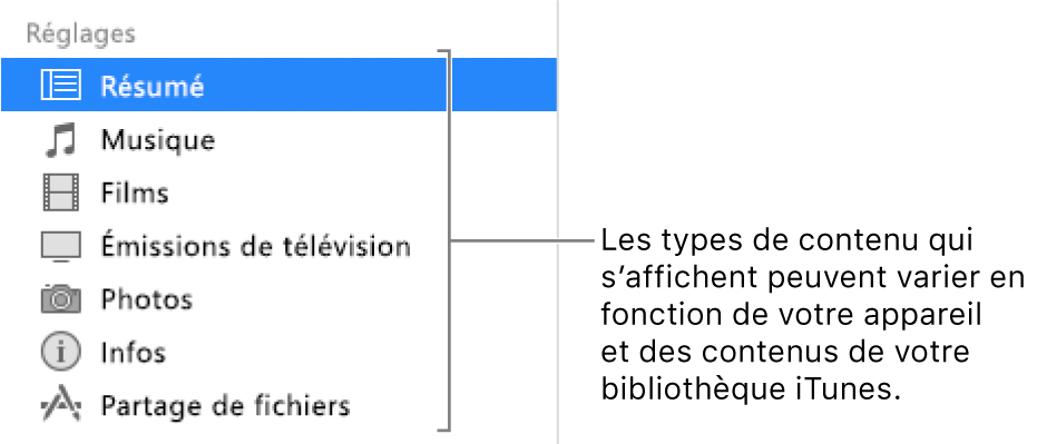 L’option Résumé est sélectionnée dans la barre latérale à gauche. Les types de contenu qui s’affichent peuvent varier en fonction de votre appareil et des contenus de votre bibliothèque iTunes.