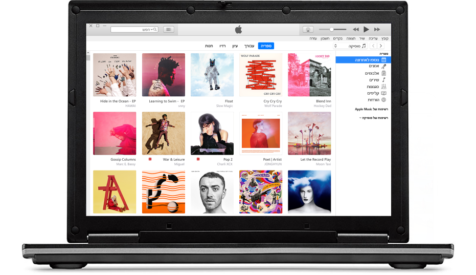 חלון iTunes עם ספריה המכילה מספר אלבומים.