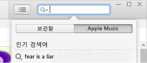 Apple Music 검색 필드.