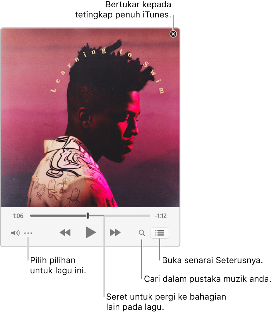 Pemain Mini dikembangkan menunjukkan kawalan untuk lagu yang sedang dimainkan. Di penjuru kanan atas ialah butang tutup, digunakan untuk bertukar kepada tetingkap penuh iTunes. Di bahagian bawah tetingkap ialah gelangsar yang anda boleh seret untuk pergi ke tempat berlainan dalam lagu. Di bawah gelangsar di sebelah kiri ialah butang Menu Tindakan, di mana anda pilih pilihan paparan dan pilihan lain untuk lagu yang sedang dimainkan. Di bahagian hujung kanan di bawah gelangsar ialah dua butang—kaca pembesar untuk mencari dalam pustaka muzik dan senarai Seterusnya untuk melihat lagu yang akan dimainkan.