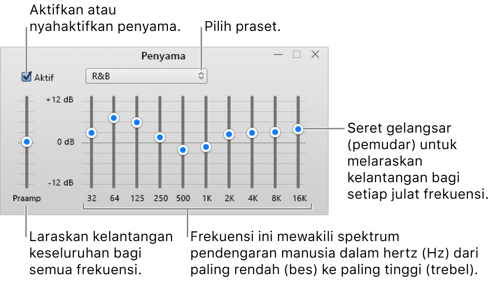 Tetingkap Penyama: Kotak semak untuk mengaktifkan penyama iTunes berada di penjuru kiri atas. Bersebelahannya ialah menu timbul dengan praset penyama. Di sebelah hujung kiri, laraskan kelantangan keseluruhan untuk frekuensi dengan praamp. Di bawah praset penyama, laraskan aras bunyi julat frekuensi berlainan yang mewakili spektrum pendengaran manusia dari paling bawah kepada paling atas.
