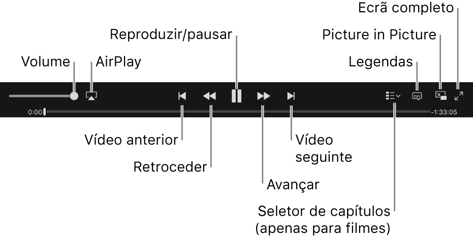 Controlos de vídeo: Volume, AirPlay, Vídeo anterior, Retroceder, Reprodução/Pausa, Avançar, Vídeo seguinte, Seletor de capítulos (só para filmes), Legendas, Picture in Picture e Ecrã completo
