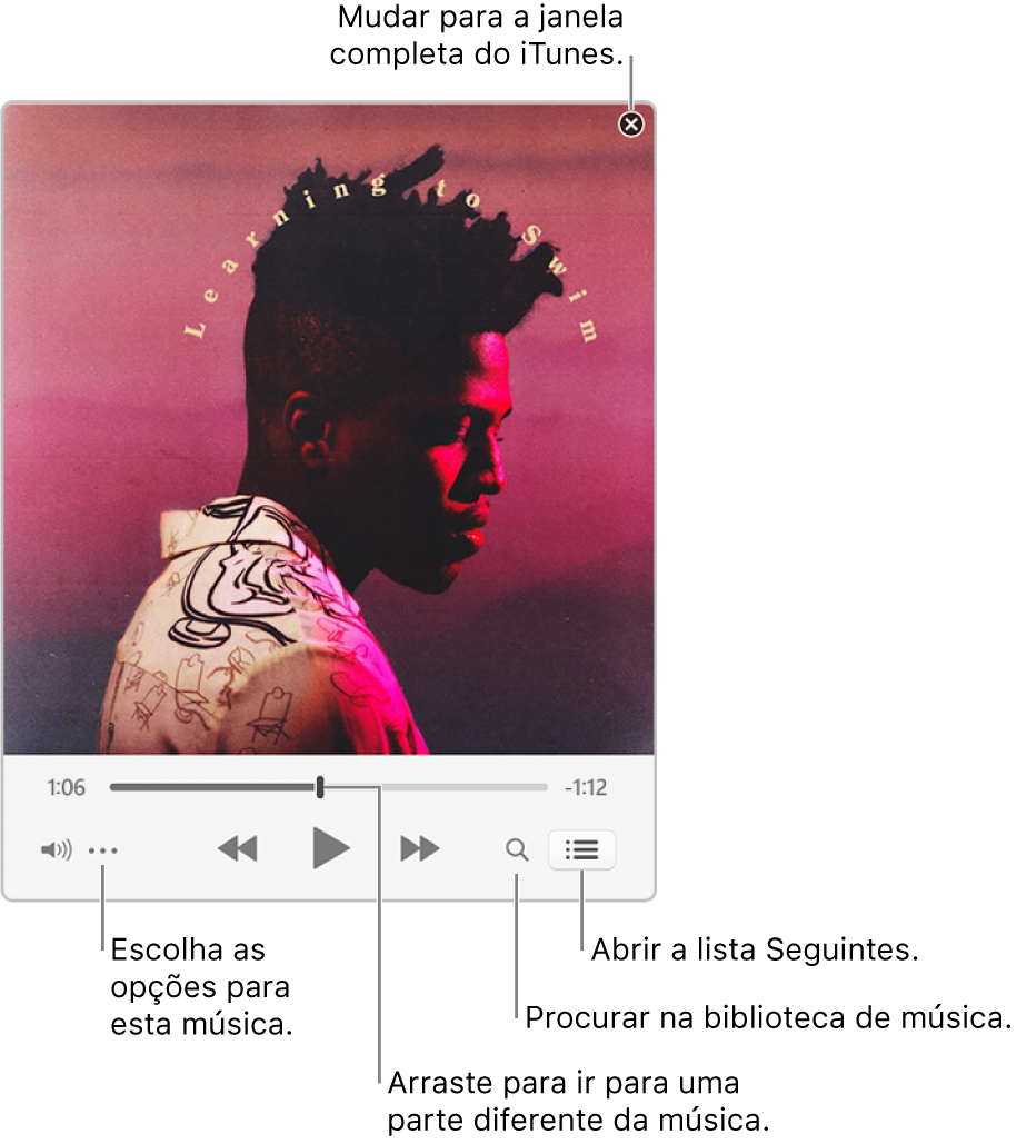 O mini-leitor expandido mostra os controlos relativos à música que está a ser reproduzida. No canto superior direito encontra-se o botão Fechar, que serve para mudar para a janela completa do iTunes. No fundo da janela encontra-se um nivelador, que pode arrastar para ir para uma parte diferente da música. Por baixo do nivelador, à esquerda, encontra-se o botão do menu de ações, que permite escolher as opções de visualização e outras opções relativas à música que está a ser reproduzida. Na extrema direita, por baixo do nivelador, estão dois botões: a lupa, para pesquisar na biblioteca de música, e a lista Seguintes, que mostra o que vai ser reproduzido a seguir.