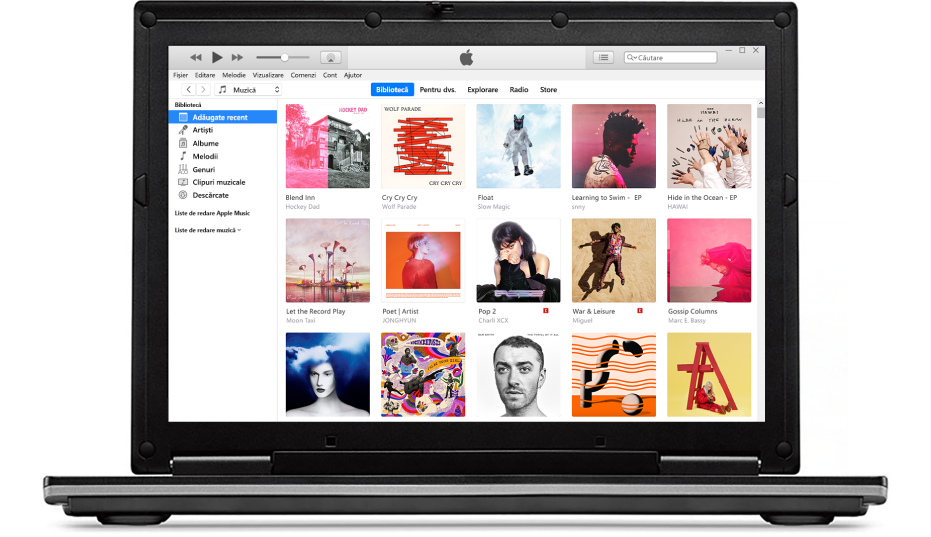 Fereastra iTunes cu o bibliotecă cu mai multe albume.