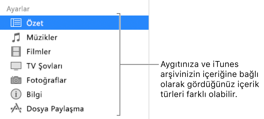 Soldaki kenar çubuğunda seçili olan Özet öğesi. Görünen içerik türleri, aygıtınıza ve iTunes arşivinizin içeriğine bağlı olarak değişiklik gösterebilir.