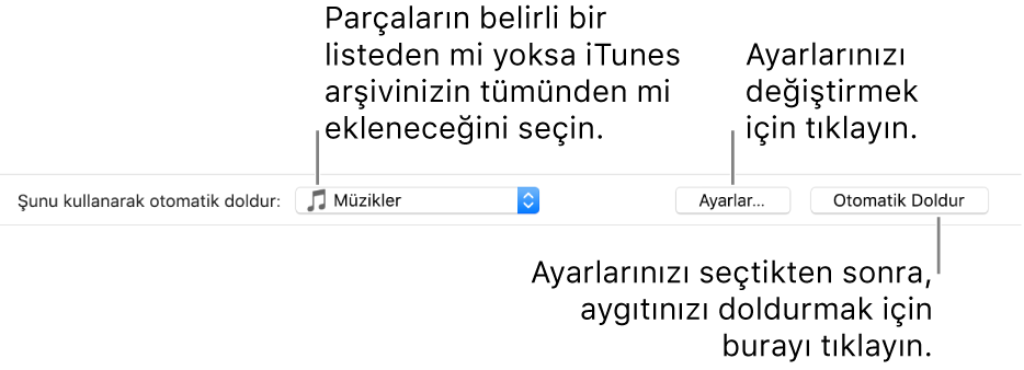 Müzik bölmesinin alt kısmındaki Otomatik Doldurma seçenekleri. En solda, parçaları listeden veya tüm arşivinizden ekleme seçeneklerini bulabileceğiniz Şunu Kullanarak Otomatik Doldur açılır menüsü bulunur. En sağda, çeşitli Otomatik Doldur seçeneklerini değiştirebileceğiniz Ayarlar ile Otomatik Doldur adlı iki düğme var. Otomatik Doldur’u tıkladığınızda, aygıtınız ölçüte uyan parçalarla doldurulur.