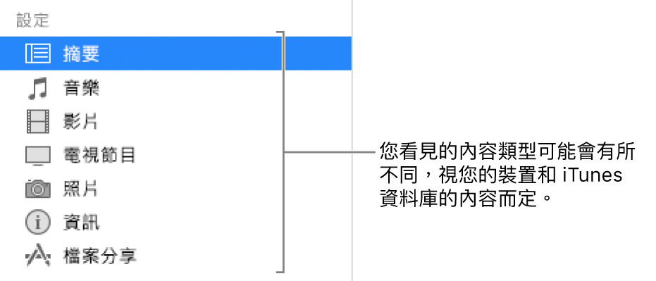 在左側側邊欄選取的摘要。顯示的內容類型可能有所不同，視您的裝置和 iTunes 資料庫中的內容而定。