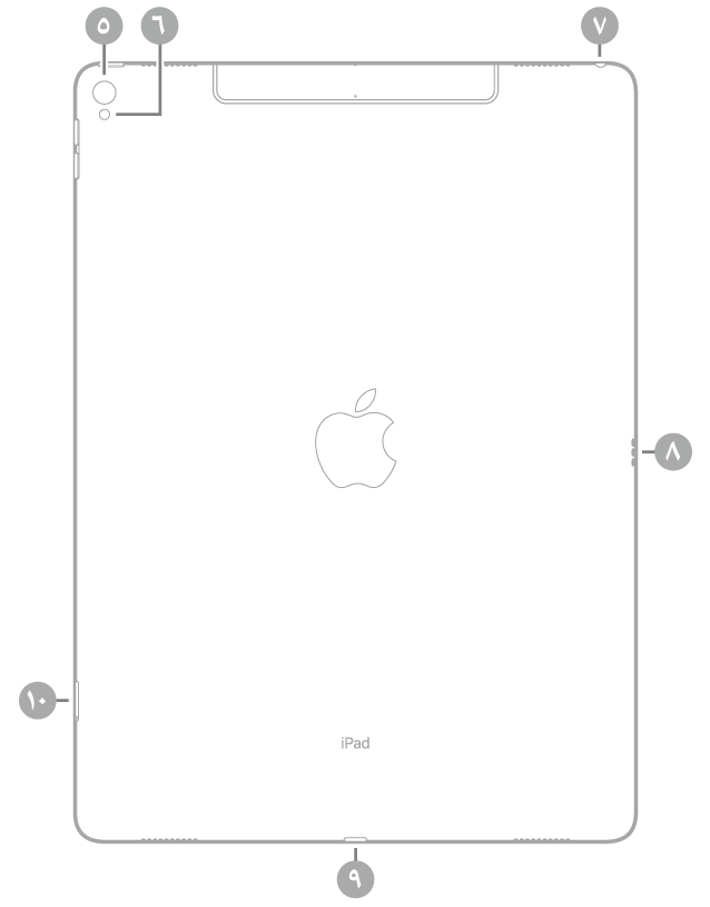 عرض للجزء الخلفي من الـ iPad Pro مع وسائل شرح من أعلى اليسار في اتجاه عقارب الساعة: الكاميرا الخلفية والفلاش ومقبس سماعة الرأس وSmart Connector وموصل Lightning وحامل SIM (‏Wi-Fi + Cellular).