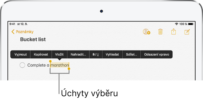 Ukázka poznámky, v níž je vybrána část textu. Nad vybraným textem jsou vidět tlačítka Vyjmout, Kopírovat, Vložit a Nahradit. Vybraný text je zvýrazněn a na obou koncích má úchytové body