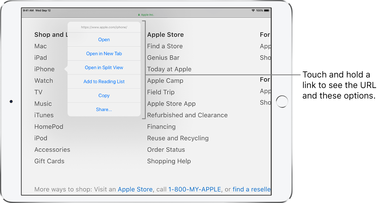 An overlay showing the destination address and a list of possible actions: Open, Open in New Tab, Open in Split View, Add to Reading List, Copy, or Share.