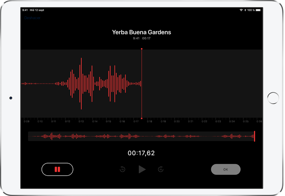 Pantalla de grabación de Notas de Voz con controles para iniciar, pausar, reproducir y finalizar una grabación.