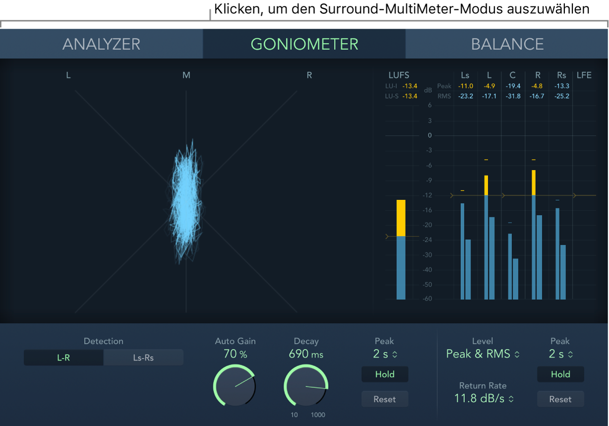 Abbildung. Surround MultiMeter-Fenster mit Goniometer