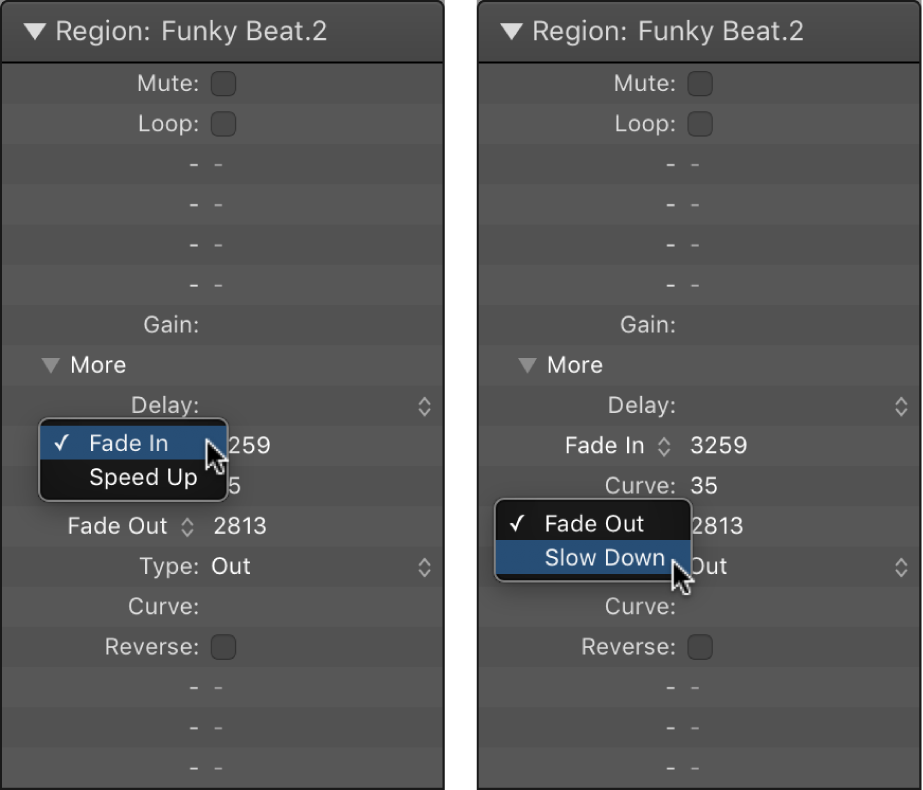 Figure. Speed Up and Slow Down parameters in the Region inspector.