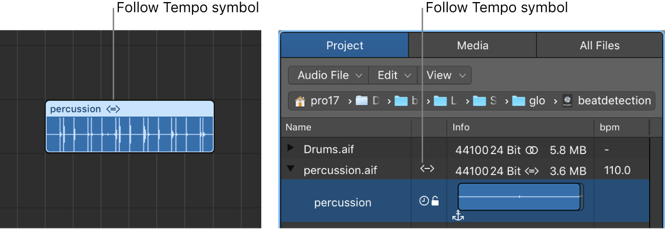 Figure. Follow Tempo symbol on audio region, and in Project Audio Browser.