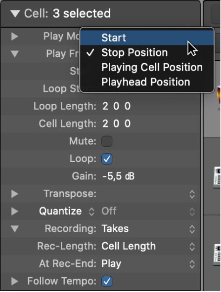 Figure. Play From setting in the Cell inspector.