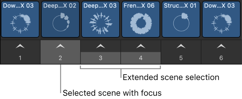 Figure. Multiple selected scenes.