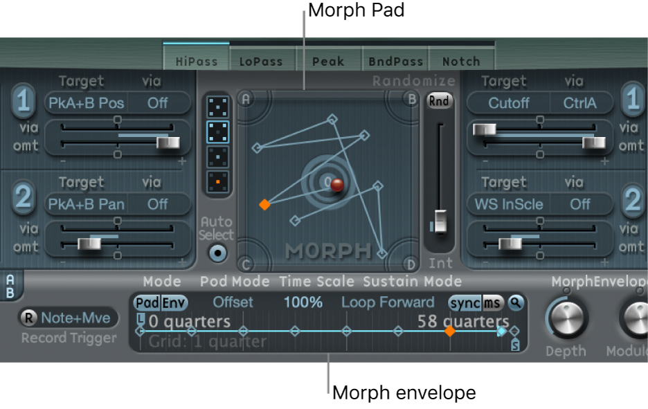 Figure. Morph section.