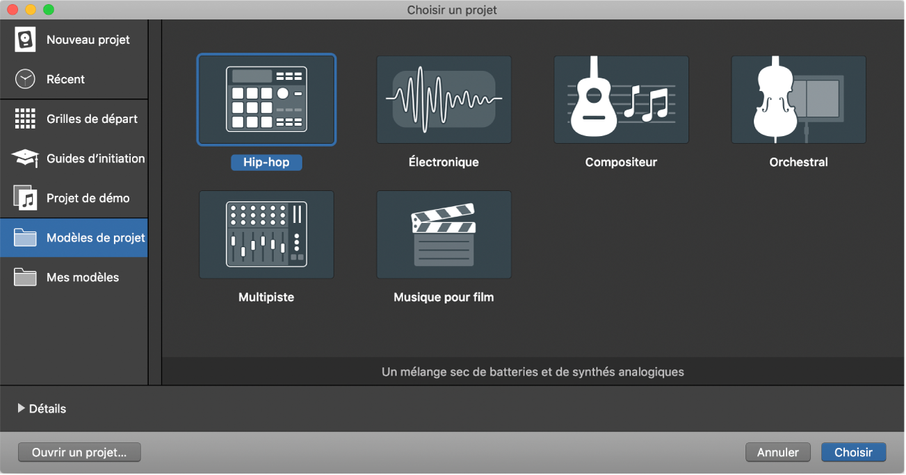 Figure. Sélecteur de projet avec un modèle de projet vide sélectionné.