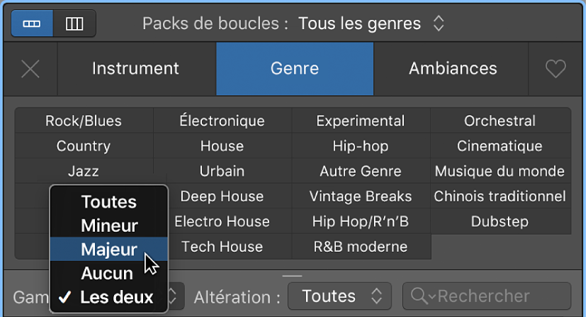 Figure. Menu local Gamme dans le navigateur de boucles.