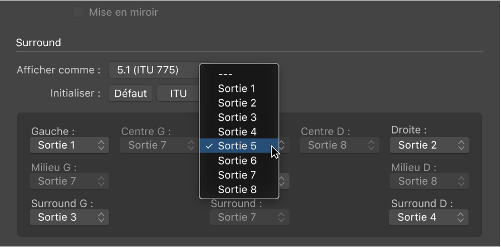 Figure. Menu local Sortie dans les préférences Surround.