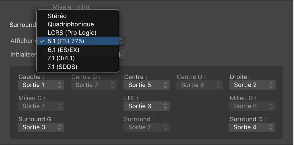 Figure. Préférences Surround.