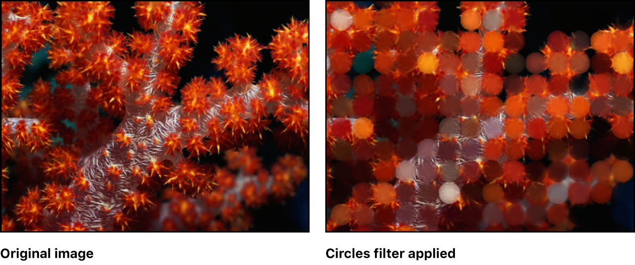 Canvas showing effect of Circles filter