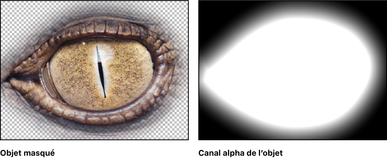 Canevas affichant un objet masqué et le canal alpha correspondant