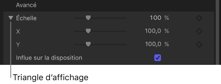 Paramètre Échelle étendu dans l’inspecteur