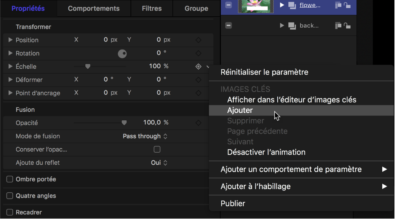 Menu contextuel « Ajouter une image clé » dans l’inspecteur