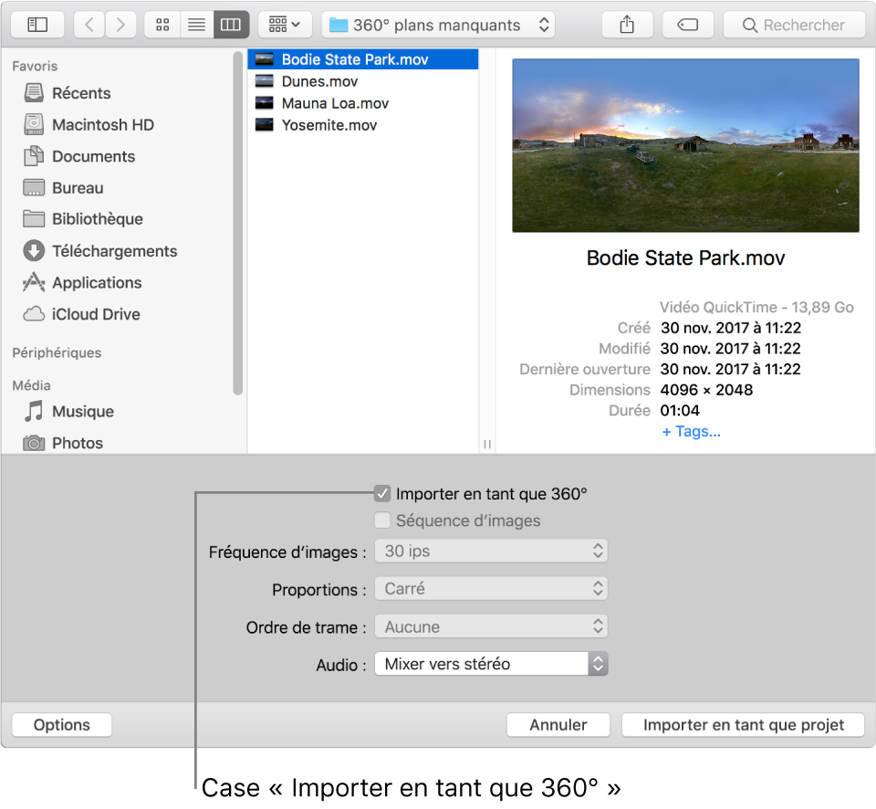 Case « Importer en tant que 360° » dans la zone de dialogue d’importation