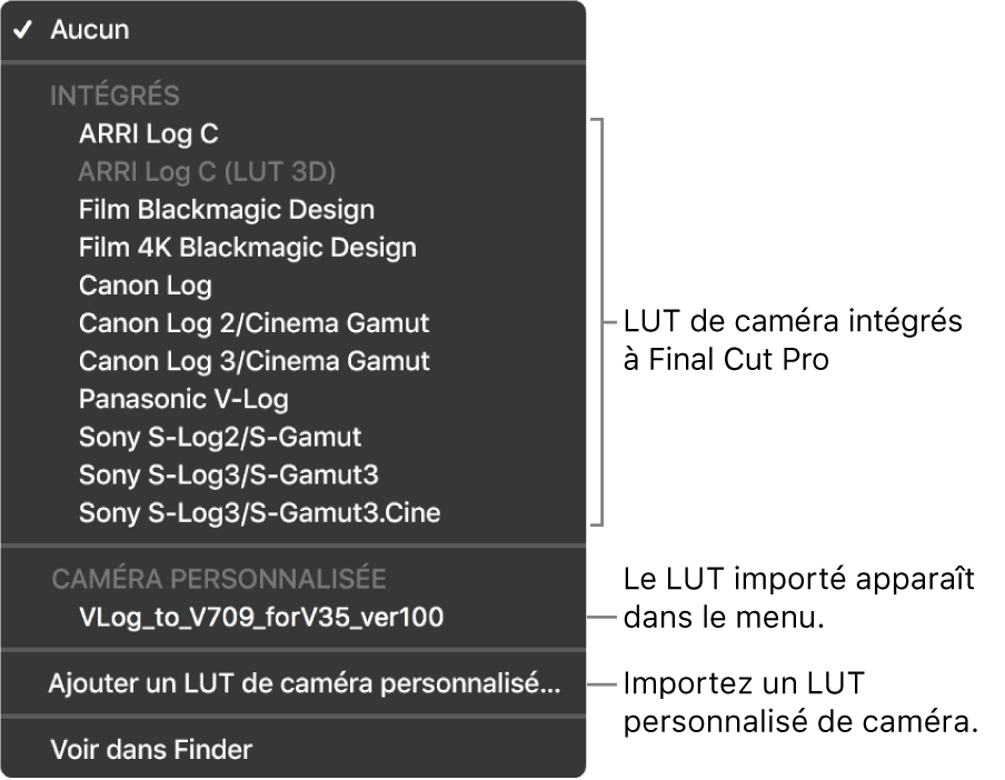 Menu local LUT de caméra