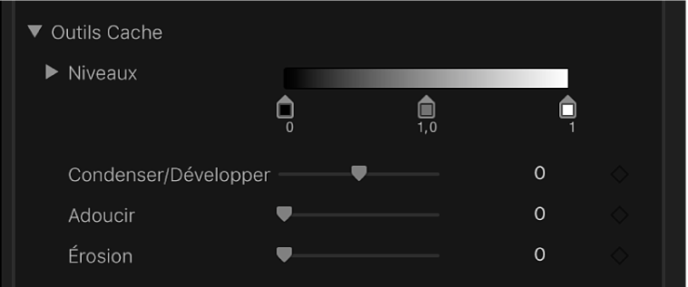 Commandes Outils Cache dans l’inspecteur vidéo