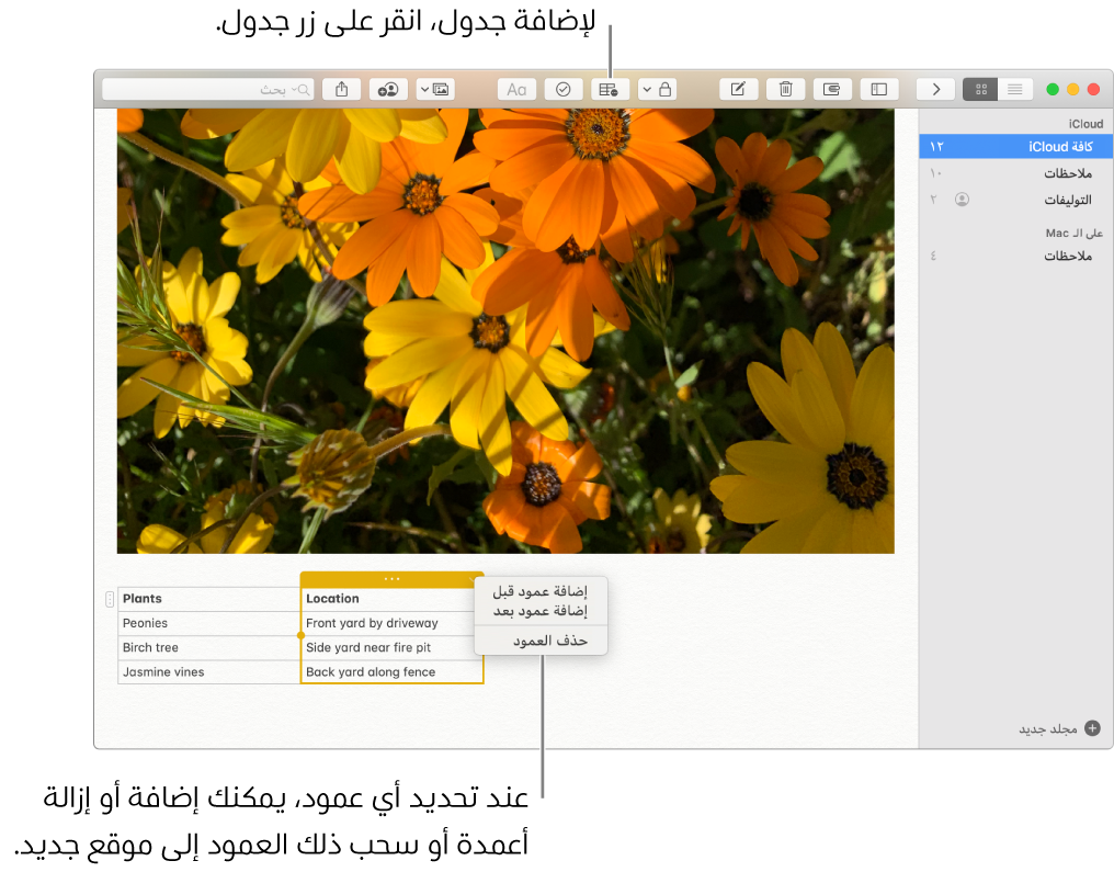 نافذة الملاحظات تعرض زر الجدول—انقر عليه لإضافة جدول. ضمن محتوى الملاحظة، يتم تحديد عمود في الجدول بحيث يمكنك إما إضافة أعمدة أو إزالتها أو سحبه إلى موقع جديد.