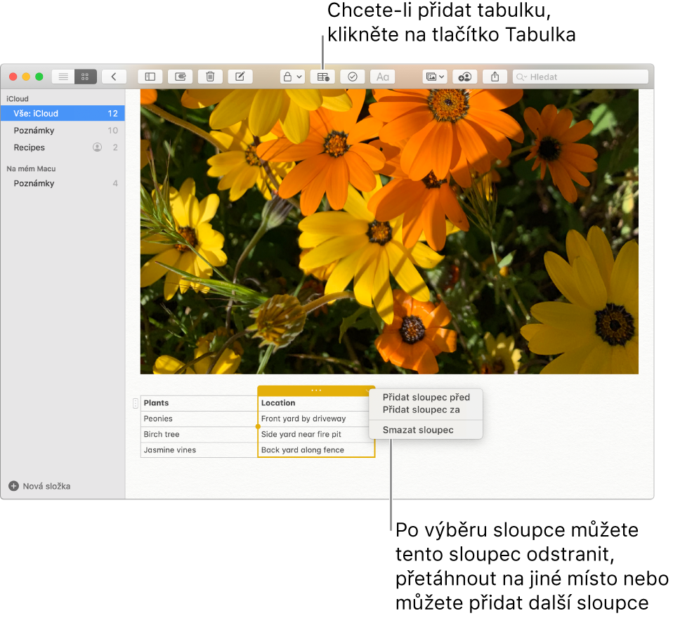 Okno aplikace Poznámky se zobrazeným tlačítkem Tabulka – kliknutím na ně přidáte tabulku. V obsahu poznámky se vybere sloupec tabulky. Pak můžete přidat nebo odstranit sloupce nebo také vybraný sloupec přetáhnout na nové místo.