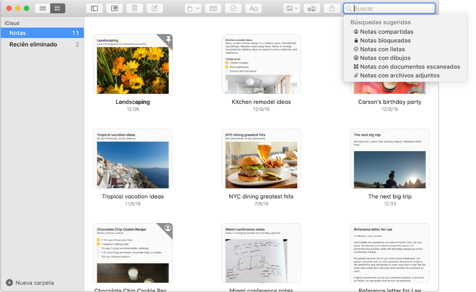 Notas en la visualización como galería —con el contenido de cada una en una miniatura. Las búsquedas sugeridas —por ejemplo, las notas bloqueadas o las notas con archivos adjuntos— se muestran en la esquina superior derecha.