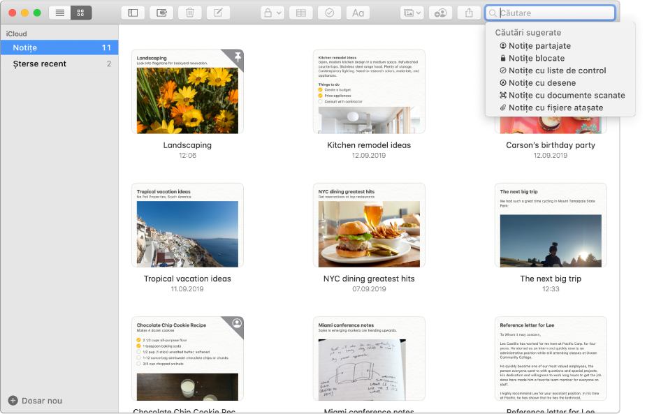 Notițe în vizualizarea în galerie – afișând conținutul fiecăreia într-o miniatură. Căutările sugerate apar în colțul din dreapta sus, cum ar fi notițele blocate și notițele cu fișiere atașate.
