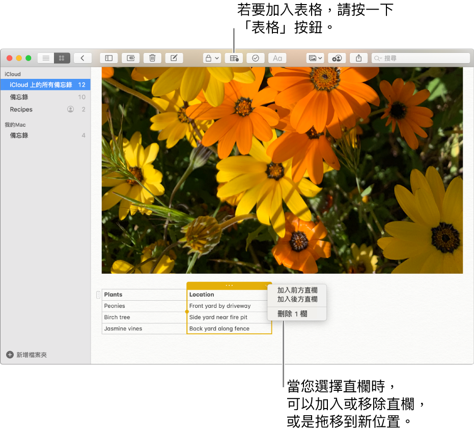 「備忘錄」視窗顯示「表格」按鈕，按一下它來加入表格。在備忘錄內容中已選取一個表格直欄，您可加入或移除直欄或將其拖移至新的位置。