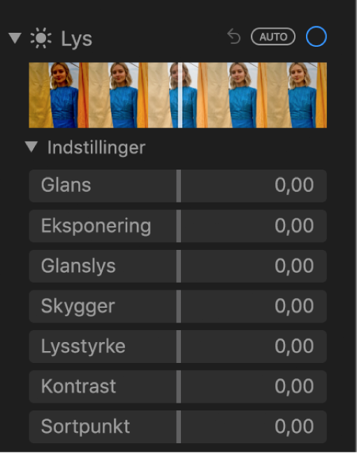 Området Lys i vinduet Juster med mærker til Glans, Eksponering, Glanslys, Skygger, Lysstyrke, Kontrast og Sortpunkt.