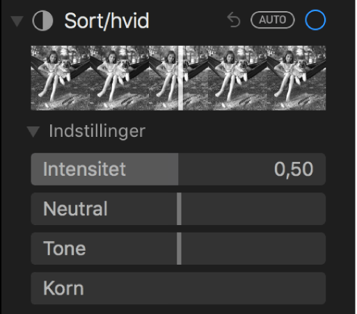 Området Sort/hvid i vinduet Juster med mærker til Intensitet, Neutral, Tone og Kornethed.