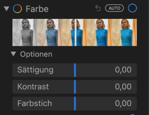 Die im Bereich „Anpassen“ unter „Farbe“ angezeigten Regler sind: Sättigung, Kontrast und Farbstich.