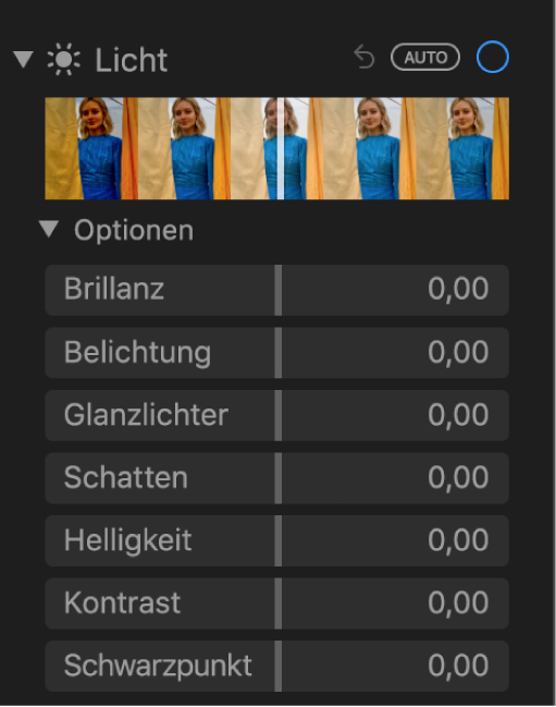 Die im Bereich „Anpassen“ unter „Licht“ angezeigten Regler sind: Brillanz, Belichtung, Glanzlichter, Schatten, Helligkeit, Kontrast und Schwarzpunkt
